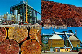 Centrale Elettrica a Biomasse di Strongoli