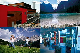 Elettricità e Teleriscaldamento da Biomasse a Dobbiaco