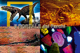 Museo Mineralogico Campano