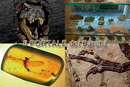 Museo Mineralogico Campano