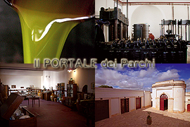 Frantoio storico e Museo dell’Olio