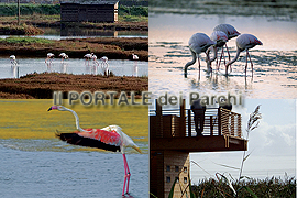 Oasi WWF Padule Orti-Bottagone